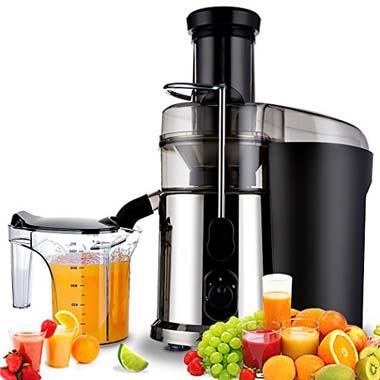 Commercial Juicer Manufacturer